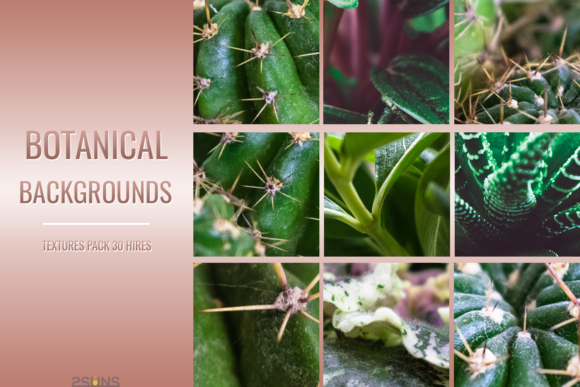 Download Botanical Textures Pack Backgrounds - Botanical textures Collection